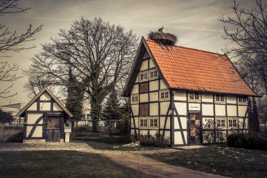 Storchennest in Verlar - Josef Henkemeier